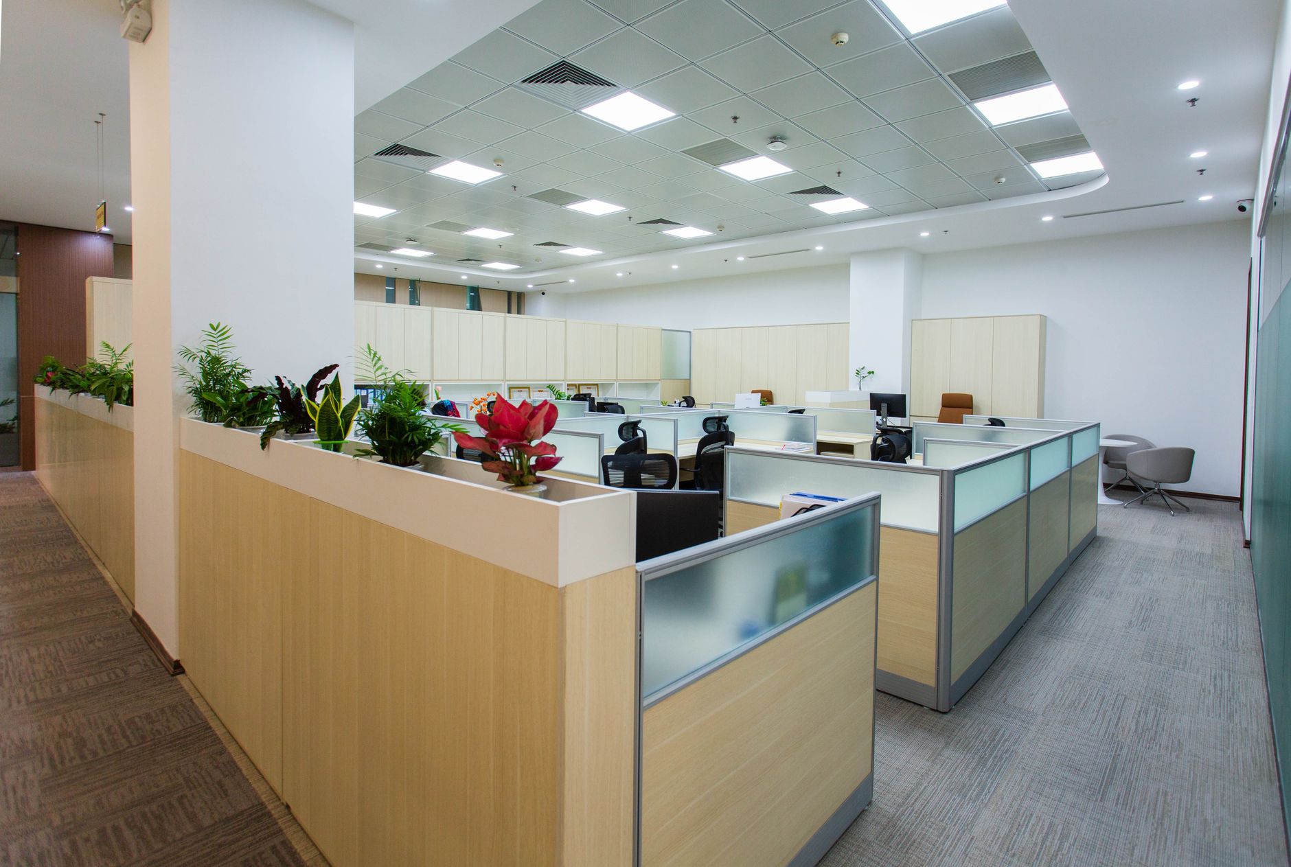 Escritorio de la oficina en Buenos Aires